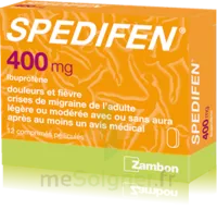 Spedifen 400 Mg, Comprimé Pelliculé Plq/12 à SAINT-PRIEST